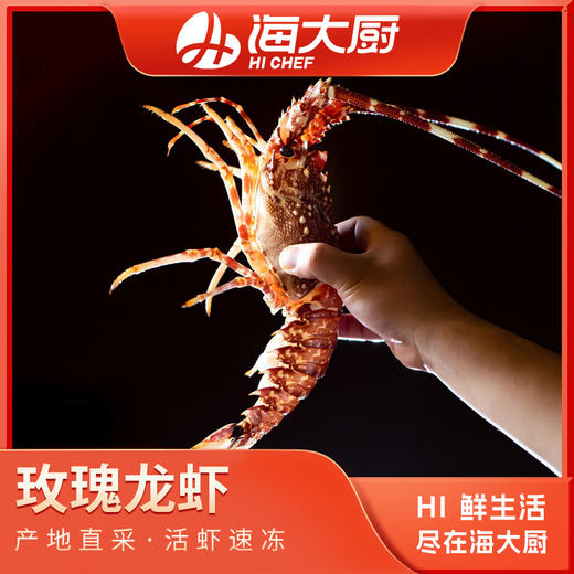 海大厨-玫瑰龙虾（为保证品质，限辽宁省内发货） 商品图0