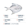 野生银鲳鱼 商品缩略图4