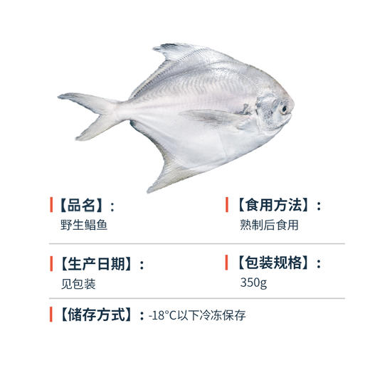 野生银鲳鱼 商品图4