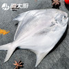 野生银鲳鱼 商品缩略图1