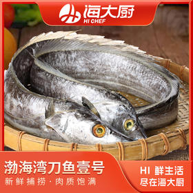 2025渤海湾1号刀鱼礼盒1.7kg