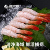 海大厨-北极甜虾30尾 商品缩略图3