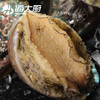 海大厨-甄选大连鲍鱼6头385g（201.0949） 商品缩略图1