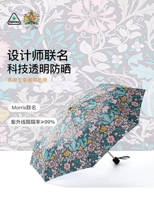 Fulton 富尔顿FULTON英国进口MORRIS雨伞防晒 商品图5