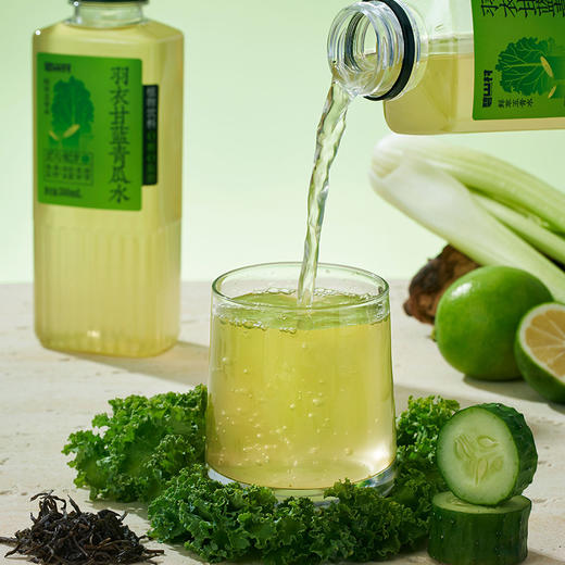 元气森林子公司 碧山村植物饮料500ML系列 商品图2