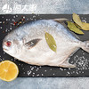 野生银鲳鱼 商品缩略图2