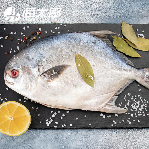 野生银鲳鱼 商品图2