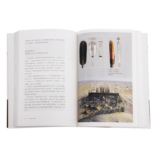 了不起的文明现场：跟着一线考古队长穿越历史 李零 刘斌 许宏 著考古发掘历程历史文明发展 三联书店 商品图3