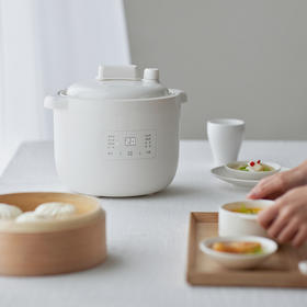 olayks立时禧炖微压电炖盅2.5L家用电炖锅煲汤自动炖汤锅煮粥神器