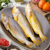 海大厨-黄花鱼  第二条半价450g 商品缩略图1