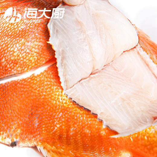 海大厨-长寿鱼1-1.2 商品图2