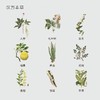人参眼部精华乳 4周淡化细纹 人参七叶树等9种汉草萃取方便吸收  今韵眼霜精华 13g/瓶 商品缩略图2