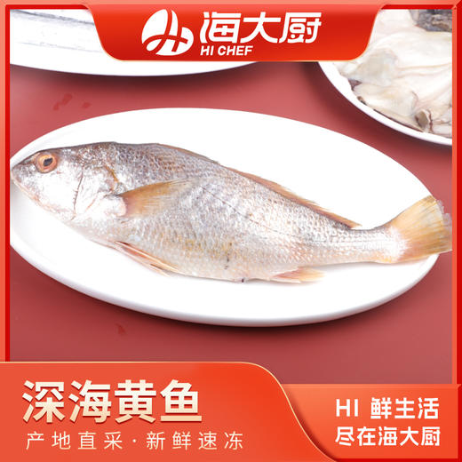 海大厨-深海黄鱼400g（201.0943） 商品图0