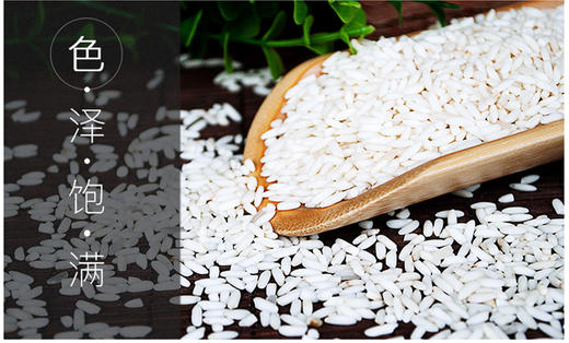 罗田 楚天绿叶 大别山香糯米5kg/袋 商品图3