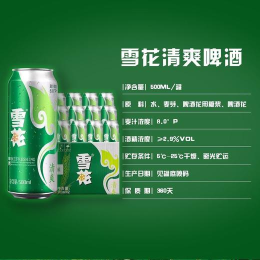 雪花啤酒清爽500ml*12罐正品听装经典黄啤口感【FY】 商品图3