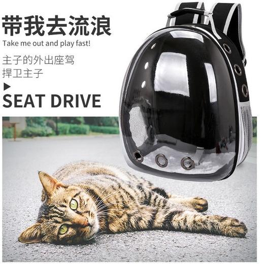 透明全景宠物背包 旅行便携背包 可侧开太空舱猫咪双肩包 商品图3