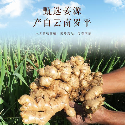 九蒸九晒小黄姜粉 浓缩8斤鲜姜≈1斤粉 古法炮制350目粉质细腻 独立包装  6克*50包 商品图3