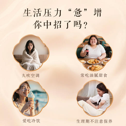 九蒸九晒小黄姜粉 浓缩8斤鲜姜≈1斤粉 古法炮制350目粉质细腻 独立包装  6克*50包 商品图2