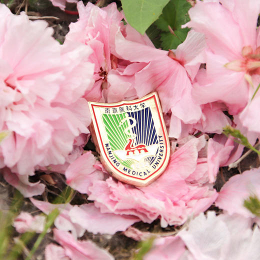 校徽校名磁吸徽章 商品图1