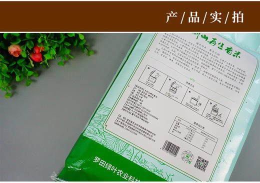 罗田 楚天绿叶 大别山再生香米5kg/袋 商品图1