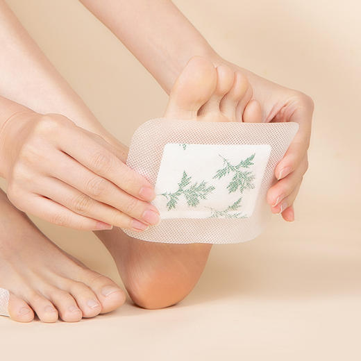 正安 艾叶本草足贴 拒绝湿腻蕲艾艾草 10贴装 商品图1