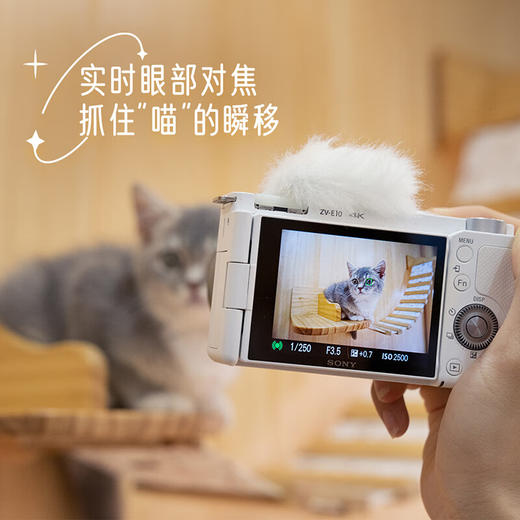 索尼（SONY）ZV-E10L 半画幅微单相机 颜值机身 精准对焦 VLOG APS-C画幅 商品图5