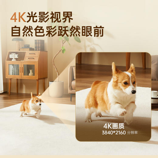 【超值套装】360云台摄像机9Pro+行车记录仪G300 4K 商品图3