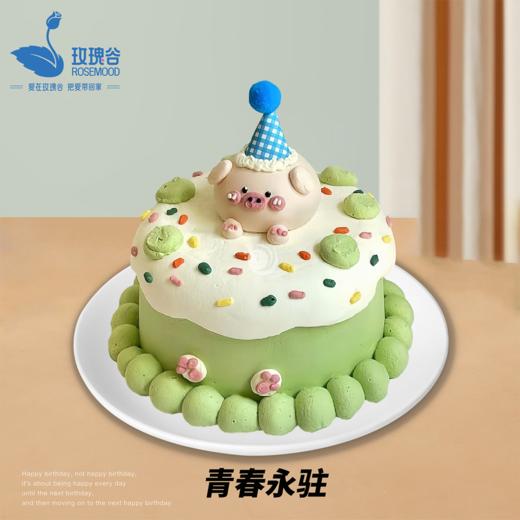 8英寸卡通•手绘•复古系列动物奶油生日蛋糕（8选1） 商品图3