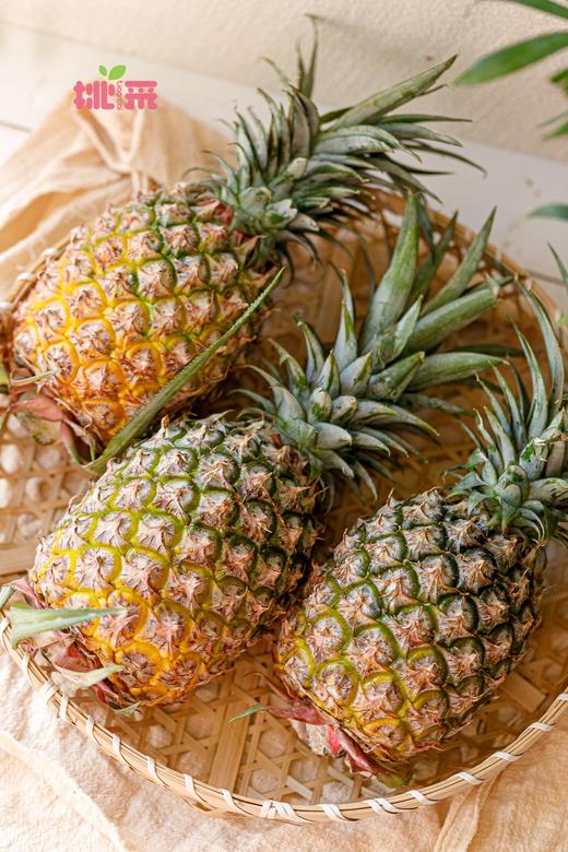 海南金钻凤梨（彩箱装 两种规格） 商品图1