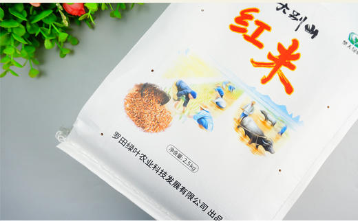 罗田 楚天绿叶 大别山红米2.5kg/袋 商品图2