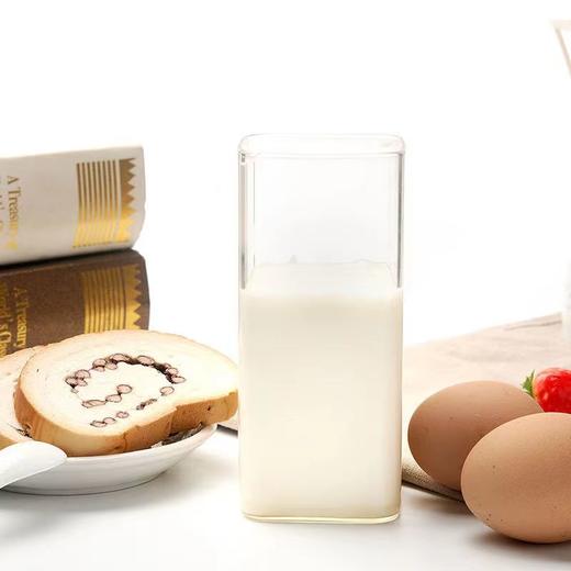 花花牛 系列酸奶 益生菌/纯牛奶随机发不指定 学生早餐奶老酸奶 145-180g/袋 商品图4