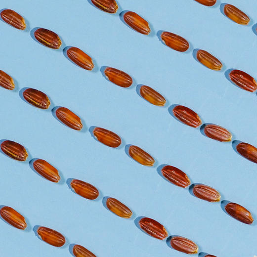 溢田溢小妹系列有机红米 970g 商品图2