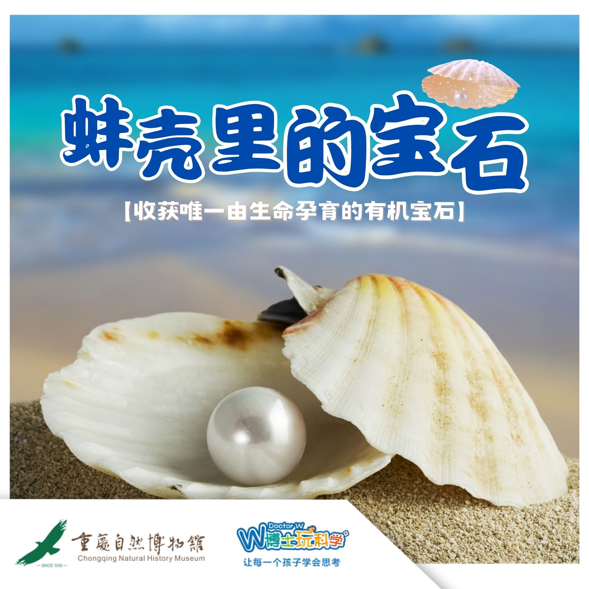 【重庆自然博物馆】河蚌里的宝石