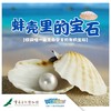 【重庆自然博物馆】河蚌里的宝石 商品缩略图0