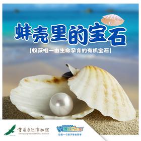 【重庆自然博物馆】河蚌里的宝石