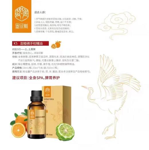 墨绿树按摩精油身体按摩油spa开背推背按摩植物精油 商品图3