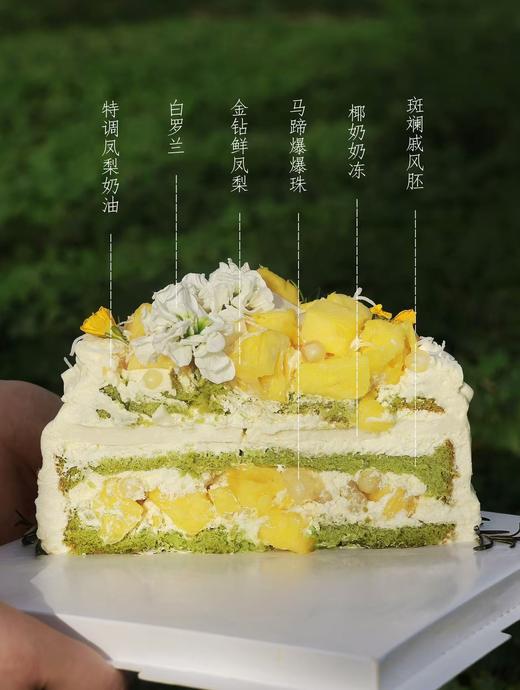 金凤梨椰椰 商品图3