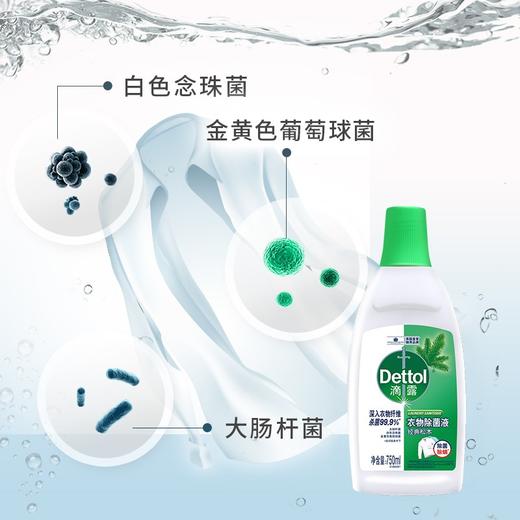 Dettol滴露衣物除菌液750ml 经典松木/清新柠檬 商品图2