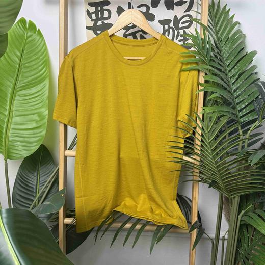 灰壳美利奴羊毛速干衣男士运动t恤美丽诺户外徒步网眼款排汗短袖 商品图3