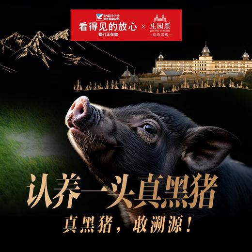 冷鲜 【预售】看得见的放心黑猪(认养黑猪)60kg 商品图1