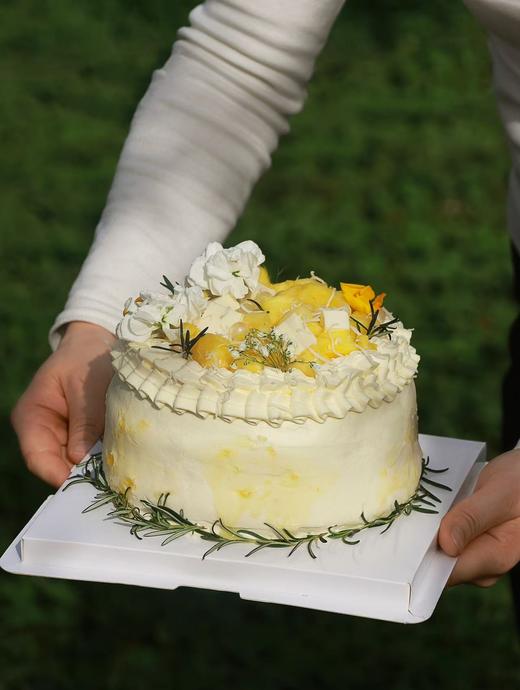 金凤梨椰椰 商品图1