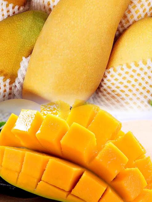 海南金煌芒高山老树老果8.5-9斤/礼盒适合送礼 商品图3