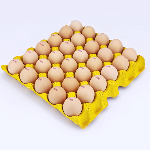 【桂银专属】桂柳土鸡蛋30枚/板 商品图5