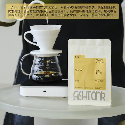 埃塞俄比亚 耶加雪菲 橙花 水洗 商品图2