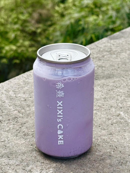 蓝莓椰椰 商品图1