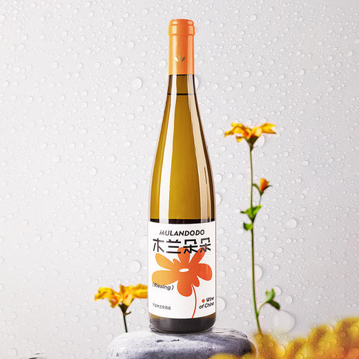 木兰朵朵雷司令干白葡萄酒国产宁夏贺兰山东麓白葡萄酒   12.5%vol 750ml 商品图1
