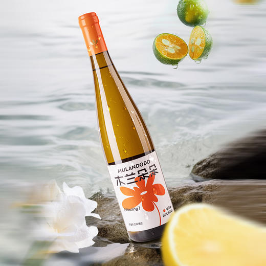 木兰朵朵雷司令干白葡萄酒国产宁夏贺兰山东麓白葡萄酒   12.5%vol 750ml 商品图2