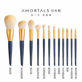 尔木萄星动面部化妆刷套刷12个装  【散粉刷 眼影刷 腮红刷 遮瑕刷 眉刷】