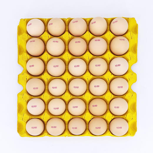 【桂银专属】桂柳土鸡蛋30枚/板 商品图3