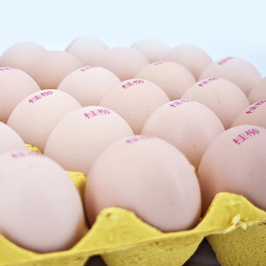 【桂银专属】桂柳土鸡蛋30枚/板 商品图2